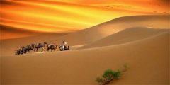 中山拓展培训课程—沙漠掘金